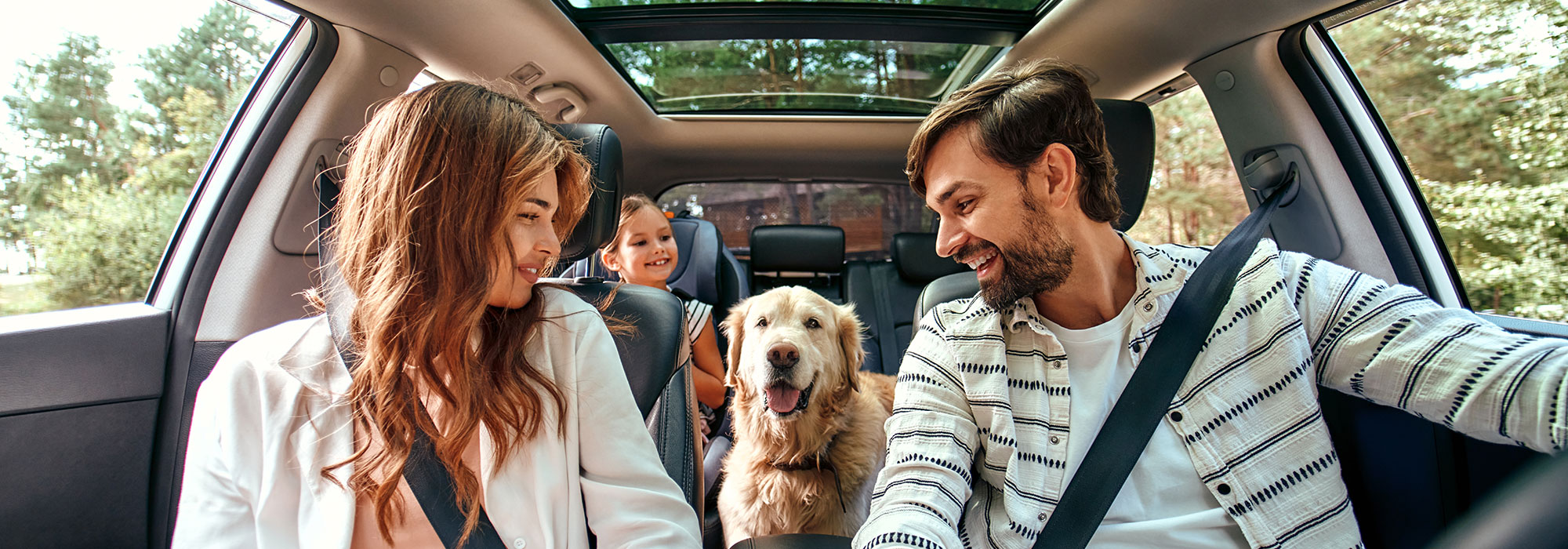 Spring to the Midwest